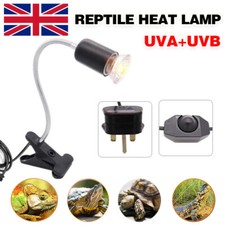 Reptile Heat Light Bulb