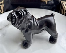 English Bulldog Black Solid