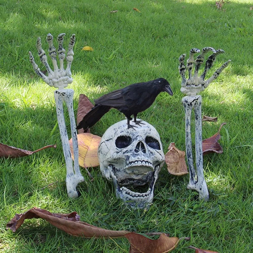 Halloween skull decoration - halloween,