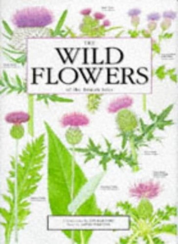 The wild flowers - wild,