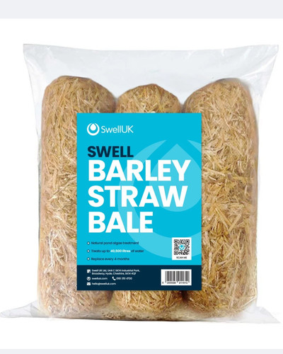 Swell barley straw - straw, bales