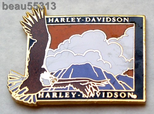 Old stock harley davidson - stock",