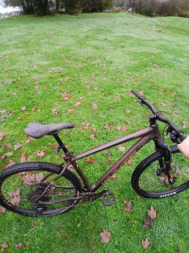 Whyte 629 29er mountain bike - whyte,