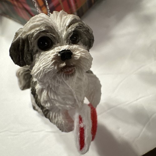 Sandicast dog christmas - sandicast,