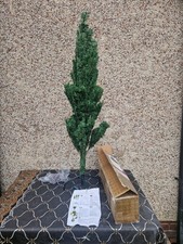 Pre-lit Alaskan Pine Green 4ft (1.2m) Christmas Tree