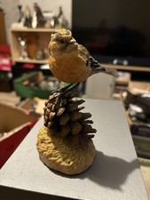 Goldcrest Resting On A Pine