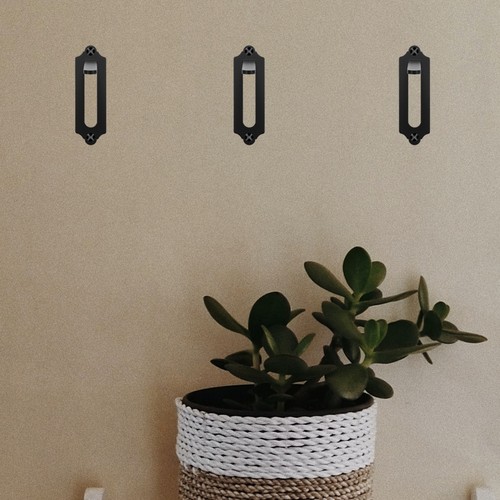 Steel skull display - steel, hook
