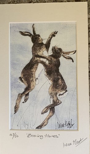 Limited edition mounted print - limited,