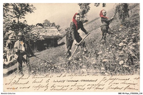 Bbep8 0644 suisse champery - bbep8-0644-suisse,