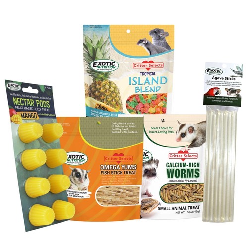 Sugar glider treat bundle - glider,