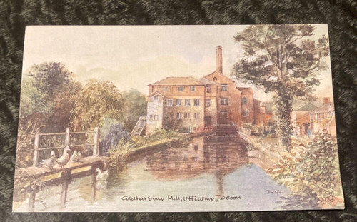 Unused art postcard david - unused,