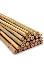 Bamboo canes 2ft - bamboo, pc