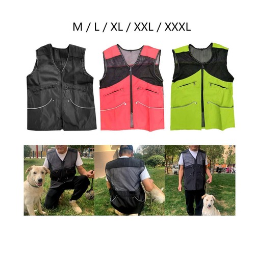 Dog handler training - dog, pet
