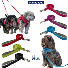 Dog Lead Padded Handle Ancol Viva Nylon Leash Puppy Soft Durable Strong 4 Sizes