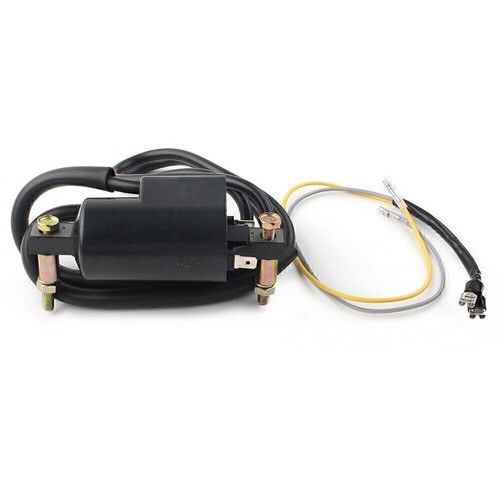 Ignition coil dual - dual, plug
