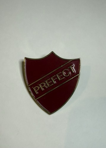 Harry potter hogwarts - harry,