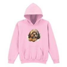 Havanese Dog Puppy Animals