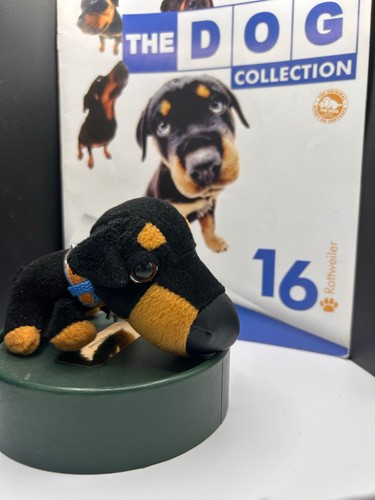 The dog collection - dog, 16