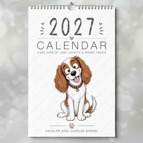 Cavalier king charles spaniel - cavalier,