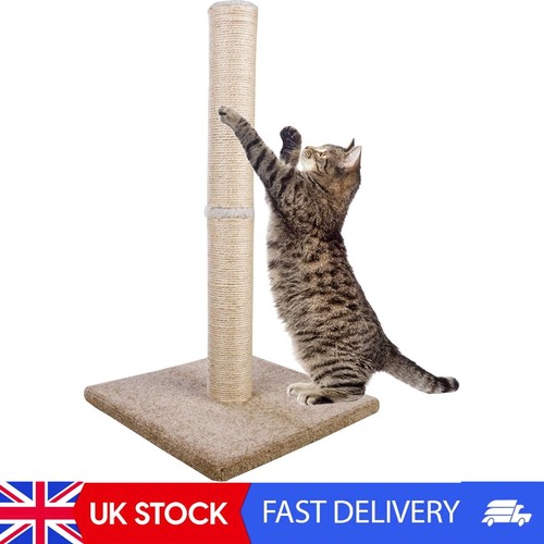 Tall carpet cat - cat, scratching