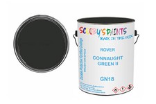 Classic Paint For Wolseley