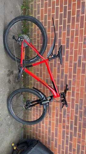Mountain bike - mountain,