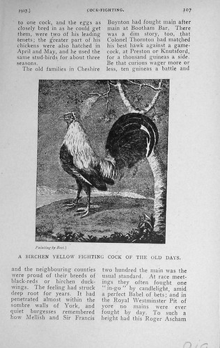 Original old vintage print - original,
