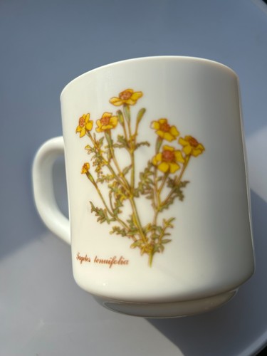 Arcopal france botanical mug - arcopal,