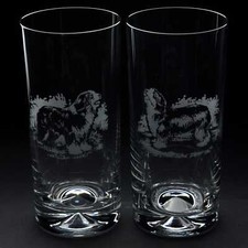 Bearded Collie Dog Highball