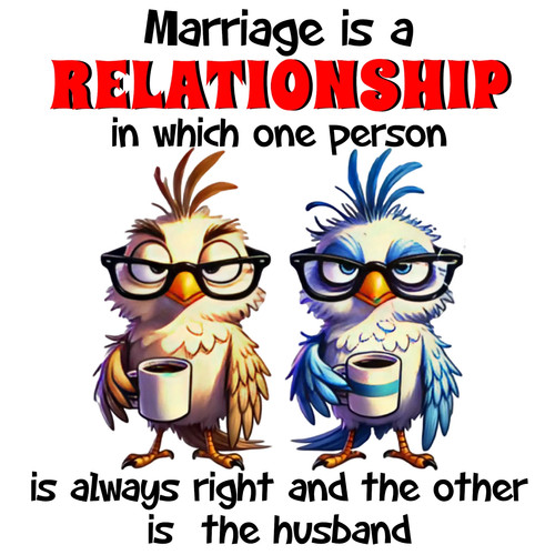 New novelty funny marriage - novelty,