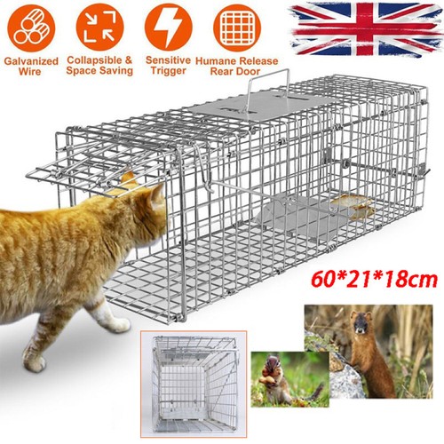 Animal trap cage indoor - animal,