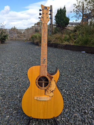 Rizanyi custom acoustic - custom, –