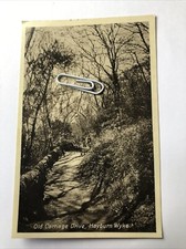 Old Carriage Drive Hayburn Wyke Animated View Unposted RPPC