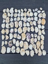 80 x Small Natural Fossiled