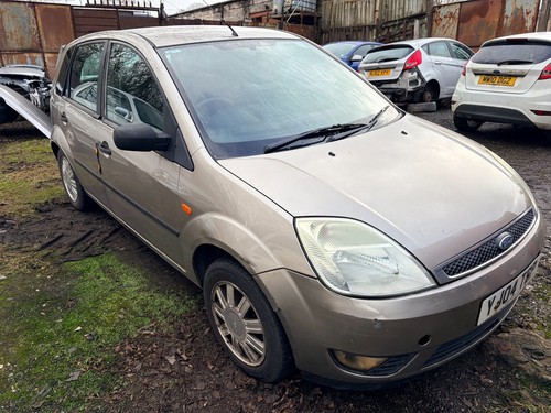 Mk6 ford fiesta - door, gold
