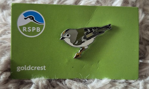 Rspb bird pin badge - bird,