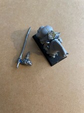 Warhammer High Elves Silver