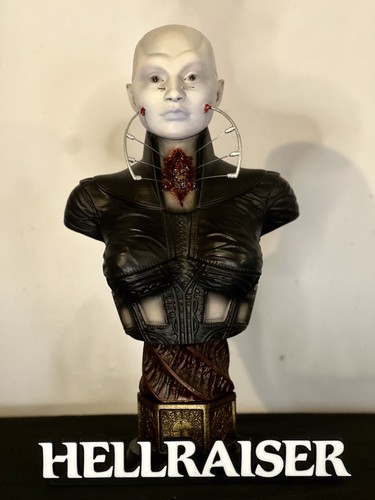 Hellraiser female cenobite - female,