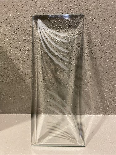 Antique beveled glass etched - glass,
