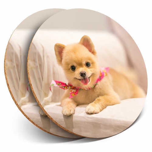 Coasters cute pomeranian - 2,