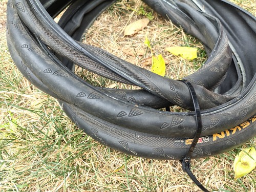 Continental gator hardshell - gator,
