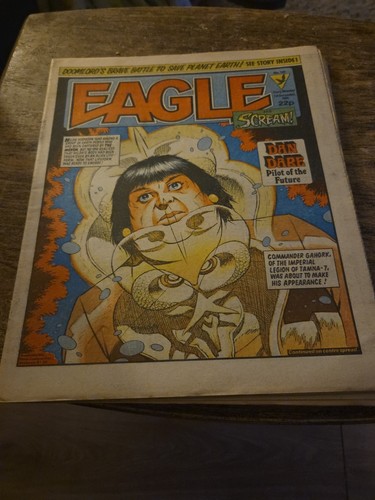 Eagle and scream - eagle,