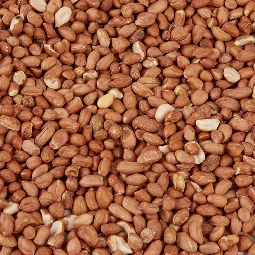 Peanuts wild bird food - peanuts,