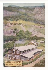 Ceylon - Leymastotte Tea Factory - old Lipton advertising postcard