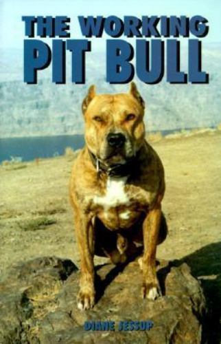 Working pit bull - bull, by