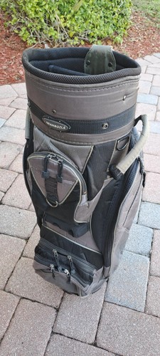 Golf cart staff - bag, idea
