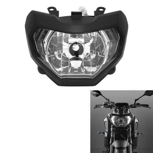 Front headlight lamp assembly - front,