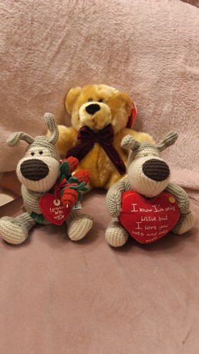 Teddy bears boofle - bears, x3