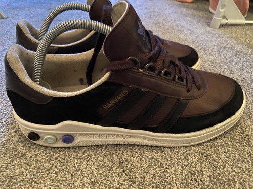 Adidas spezial harvard - ,