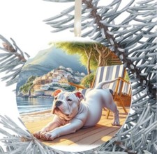 Staffordshire Bull Terrier Dog